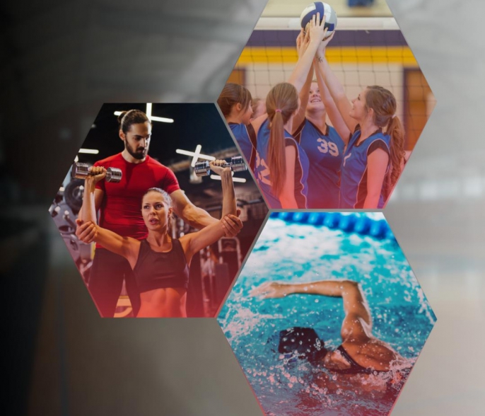 Melyik képzés illik hozzád?  Sportedző, sportoktató, fitness instruktor vagy személyi edző?
