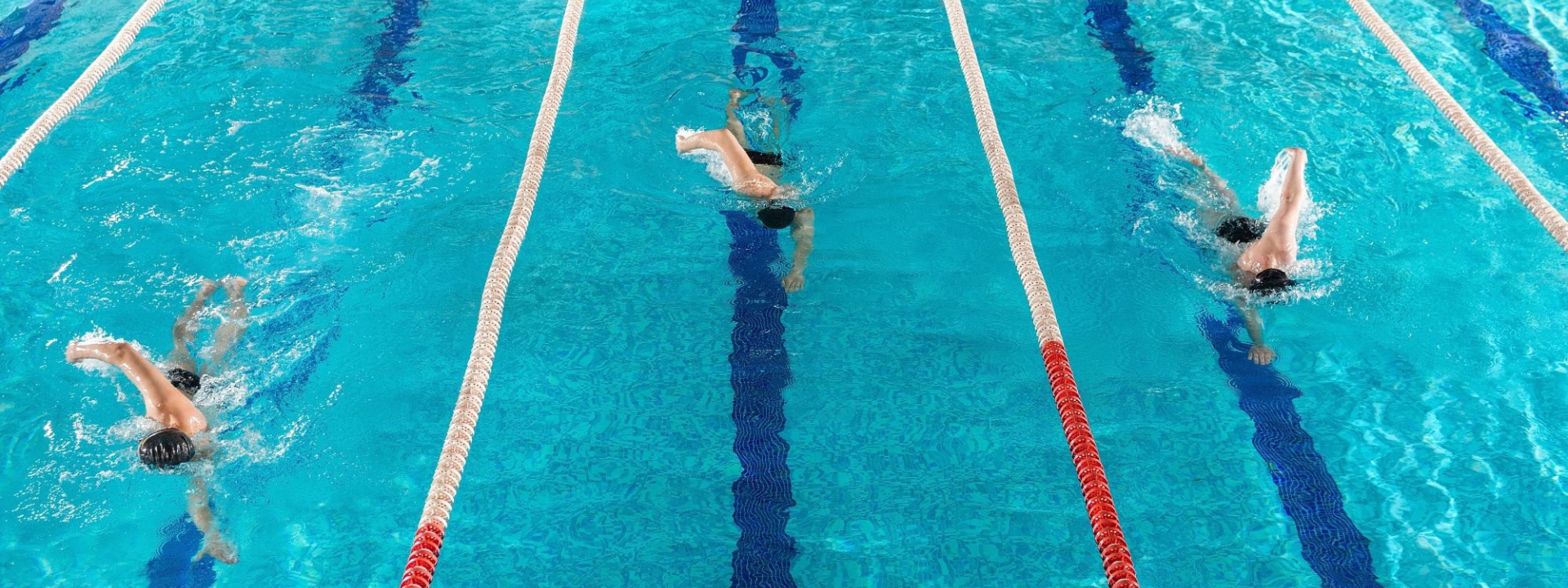 Úszás
sportedző / sportoktató
